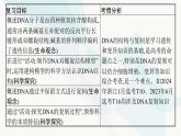 浙科版高考生物一轮复习第5单元遗传的分子基础第17讲DNA的分子结构与复制课件
