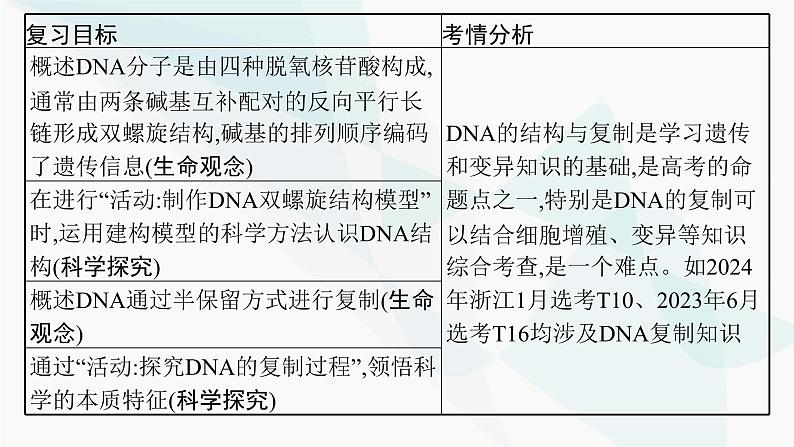 浙科版高考生物一轮复习第5单元遗传的分子基础第17讲DNA的分子结构与复制课件02