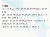 浙科版高考生物一轮复习第5单元遗传的分子基础第17讲DNA的分子结构与复制课件