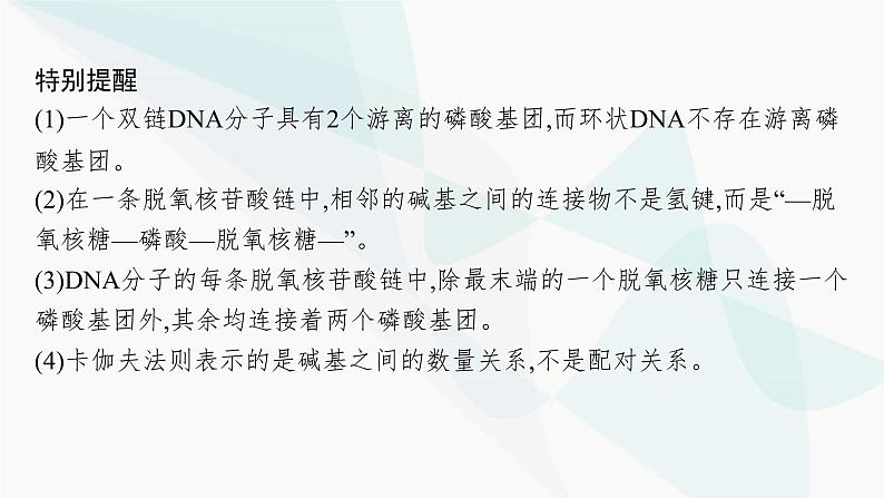 浙科版高考生物一轮复习第5单元遗传的分子基础第17讲DNA的分子结构与复制课件05