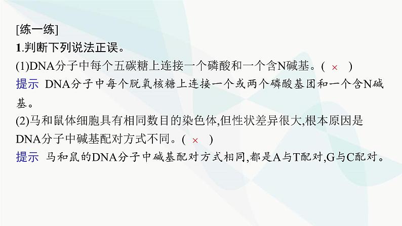 浙科版高考生物一轮复习第5单元遗传的分子基础第17讲DNA的分子结构与复制课件06