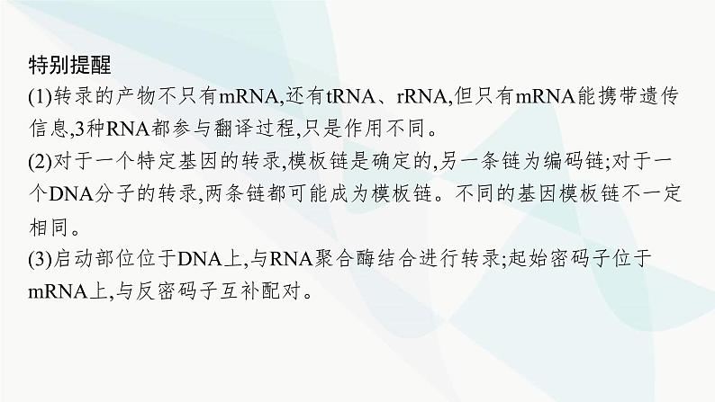 浙科版高考生物一轮复习第5单元遗传的分子基础第18讲基因控制蛋白质合成课件05