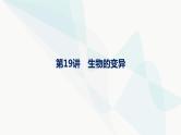 浙科版高考生物一轮复习第6单元生物的变异与进化第19讲生物的变异课件