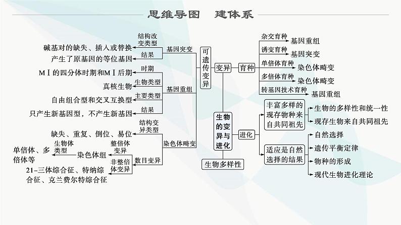 浙科版高考生物一轮复习第6单元生物的变异与进化第19讲生物的变异课件第2页