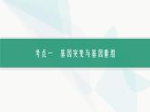 浙科版高考生物一轮复习第6单元生物的变异与进化第19讲生物的变异课件