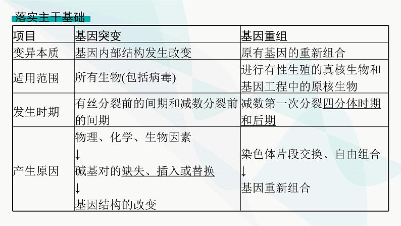 浙科版高考生物一轮复习第6单元生物的变异与进化第19讲生物的变异课件第6页