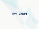 浙科版高考生物一轮复习第6单元生物的变异与进化第20讲生物的进化课件