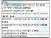 浙科版高考生物一轮复习第6单元生物的变异与进化第20讲生物的进化课件