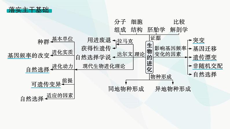 浙科版高考生物一轮复习第6单元生物的变异与进化第20讲生物的进化课件第5页