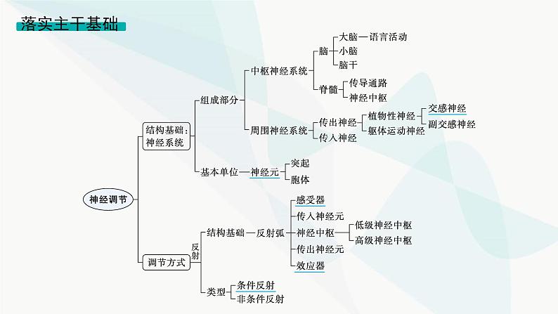 浙科版高考生物一轮复习第7单元稳态与调节第22讲神经调节课件06