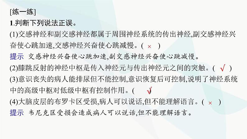 浙科版高考生物一轮复习第7单元稳态与调节第22讲神经调节课件08