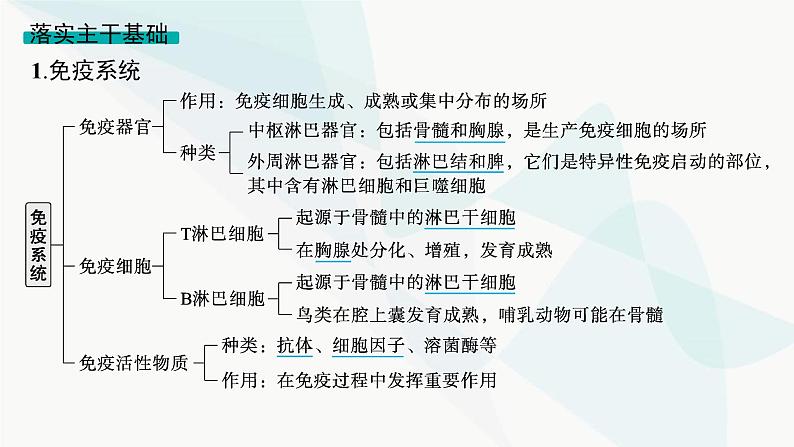 浙科版高考生物一轮复习第7单元稳态与调节第24讲免疫调节课件06