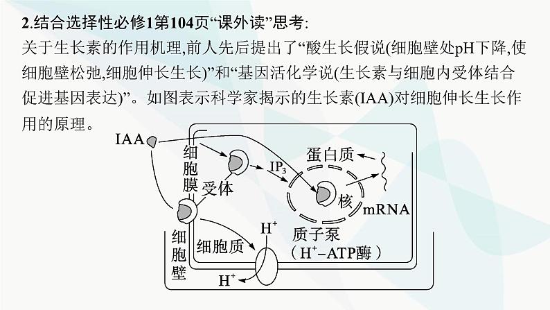 浙科版高考生物一轮复习第7单元稳态与调节第25讲第1课时植物生长素的发现和作用课件07