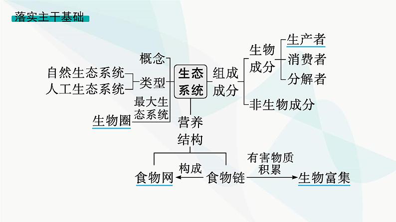 浙科版高考生物一轮复习第8单元生物与环境第28讲第1课时生态系统的成分和营养结构、生产量和生物量课件07