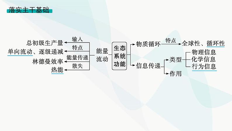 浙科版高考生物一轮复习第8单元生物与环境第28讲第2课时生态系统的功能、稳态及调节课件第3页