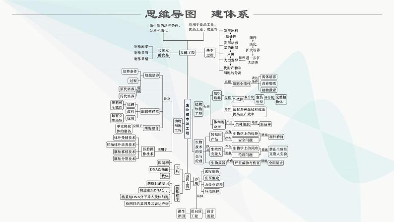 浙科版高考生物一轮复习第9单元生物技术与工程第30讲发酵工程课件第2页