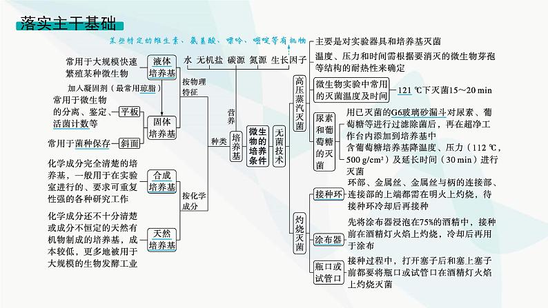 浙科版高考生物一轮复习第9单元生物技术与工程第30讲发酵工程课件第7页