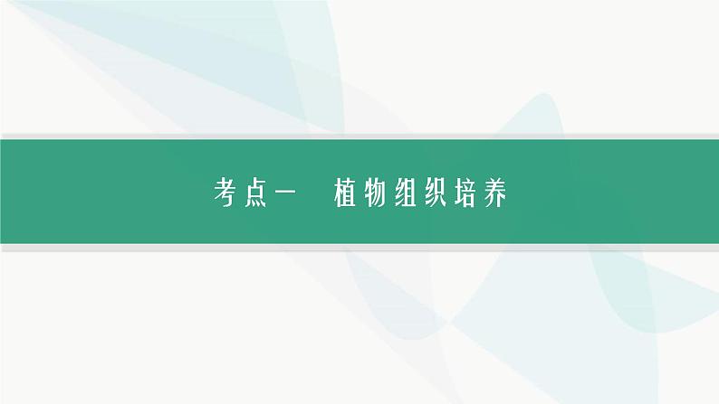 浙科版高考生物一轮复习第9单元生物技术与工程第31讲植物细胞工程课件第4页