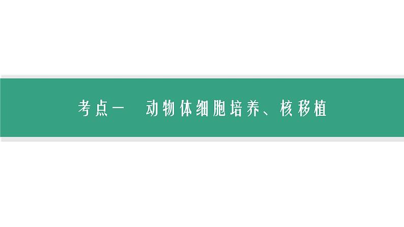 浙科版高考生物一轮复习第9单元生物技术与工程第32讲第1课时动物细胞的培养、核移植及细胞融合技术课件第5页