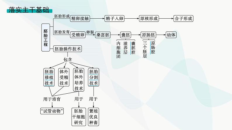 浙科版高考生物一轮复习第9单元生物技术与工程第32讲第2课时对动物早期胚胎或配子进行处理可获得目标个体课件04