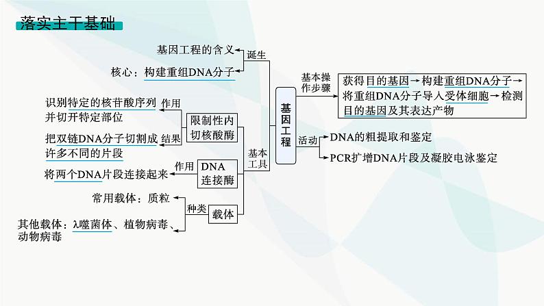 浙科版高考生物一轮复习第9单元生物技术与工程第33讲基因工程课件第7页