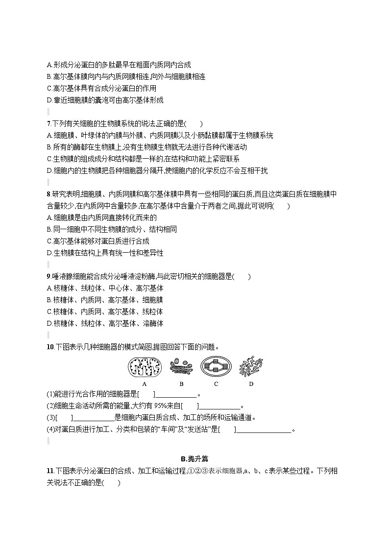 人教版（2019）必修一3.2 细胞器之间的分工合作练习（含答案解析）02