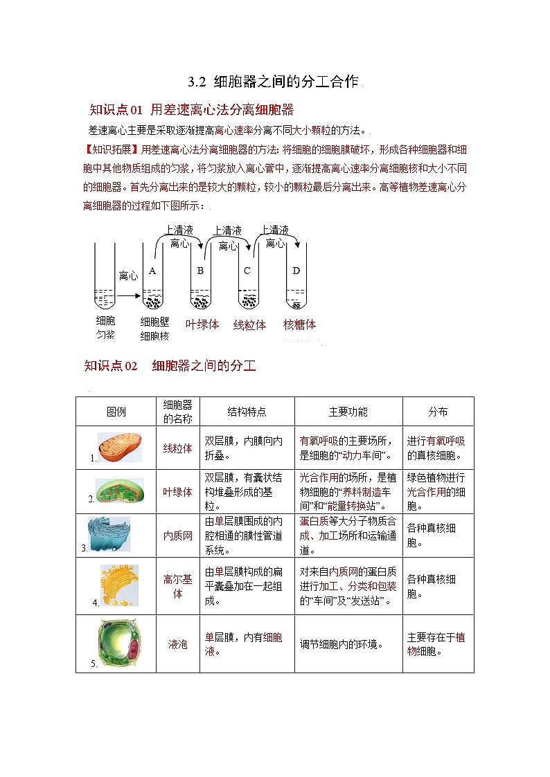 人教版（2019）必修一3.2 细胞器之间的分工合作知识清单01