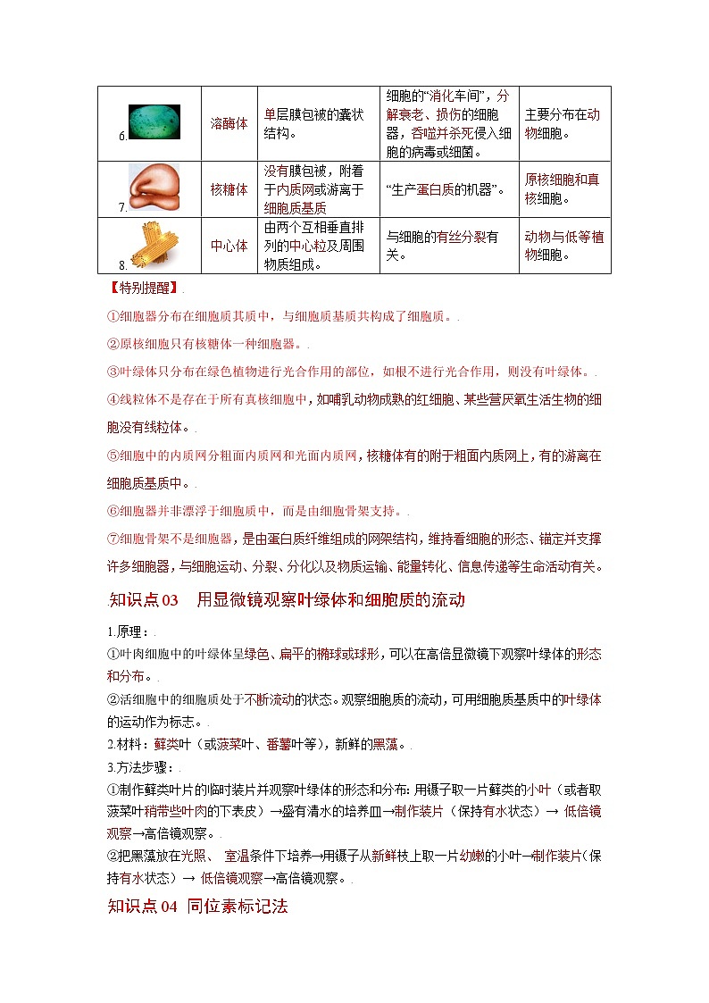 人教版（2019）必修一3.2 细胞器之间的分工合作知识清单02