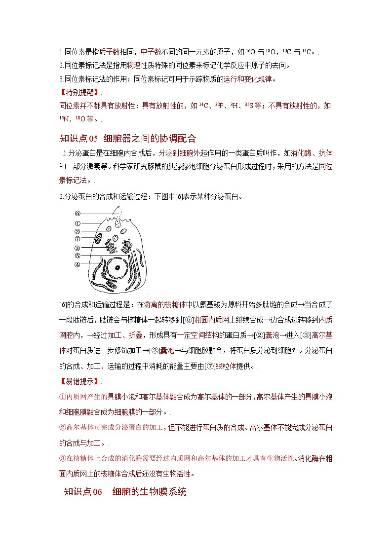 人教版（2019）必修一3.2 细胞器之间的分工合作知识清单03