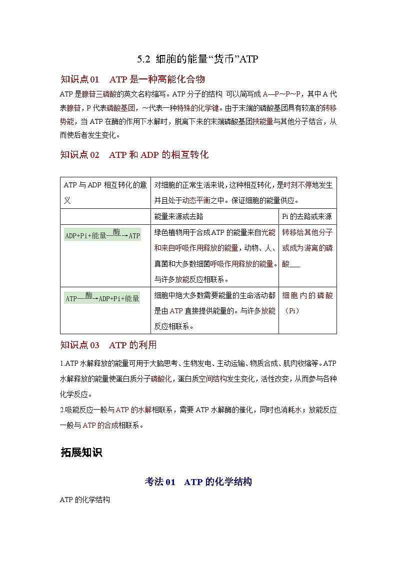 人教版（2019）必修一5.2 细胞的能量“货币”ATP知识清单01