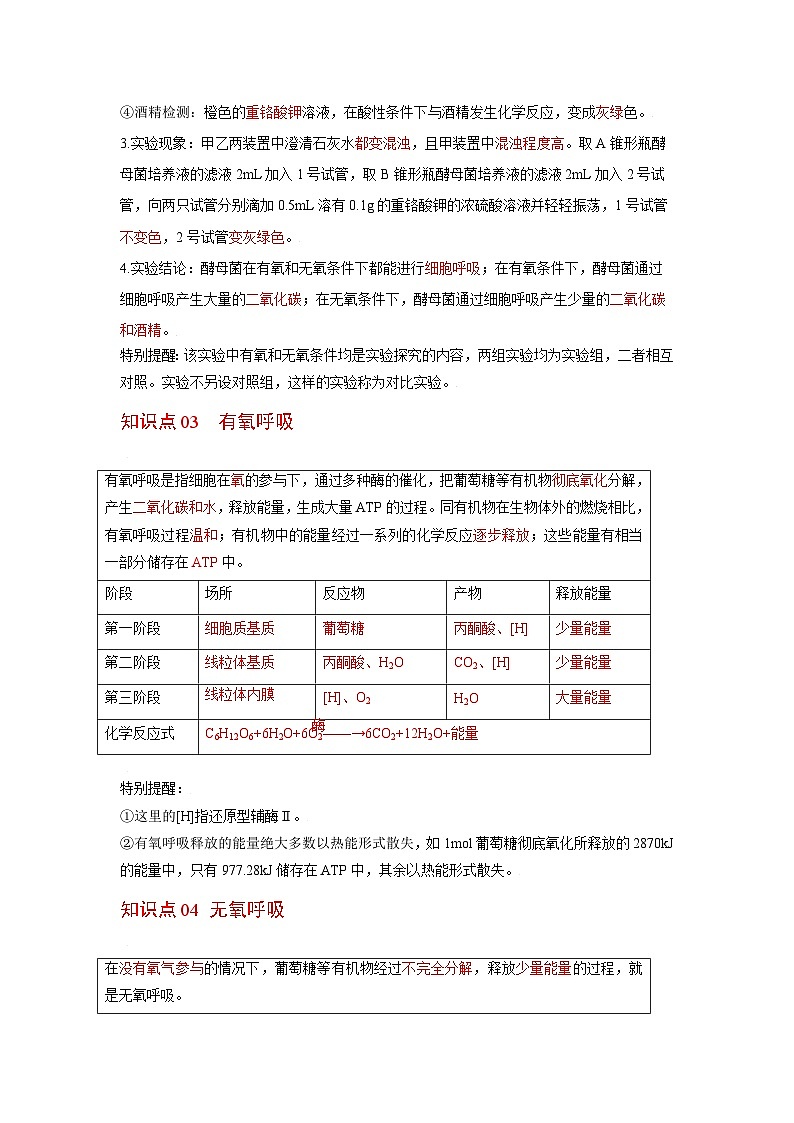 人教版（2019）必修一5.3 细胞呼吸的原理和应用知识清单02