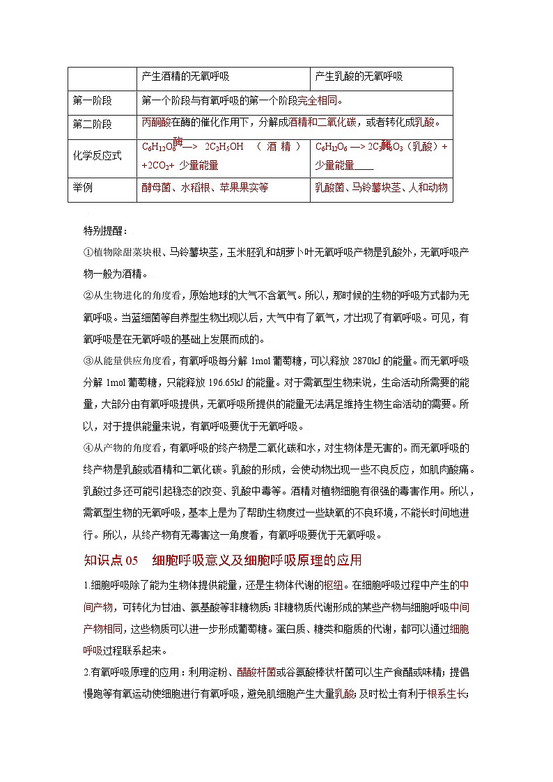 人教版（2019）必修一5.3 细胞呼吸的原理和应用知识清单03