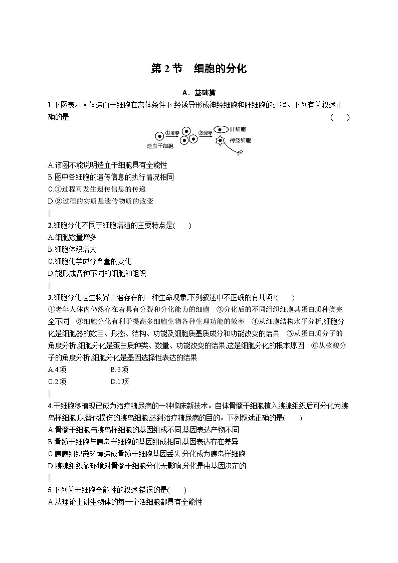 人教版（2019）必修一6.2 细胞的分化练习（含答案解析）01