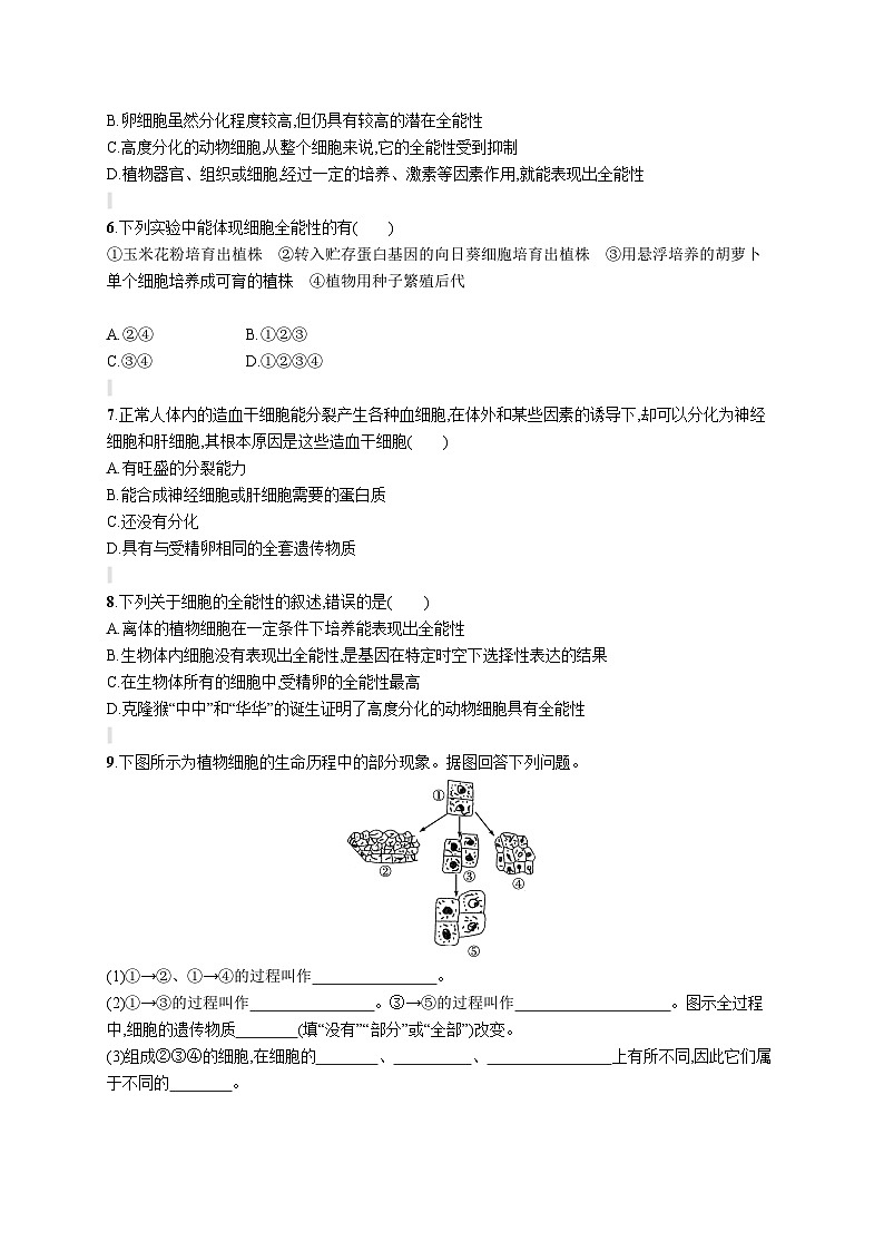 人教版（2019）必修一6.2 细胞的分化练习（含答案解析）02