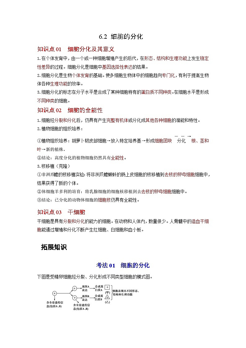 人教版（2019）必修一6.2 细胞的分化知识清单01