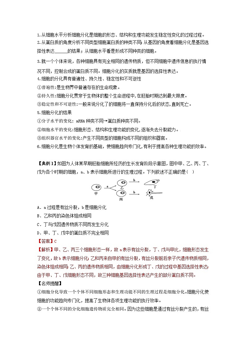 人教版（2019）必修一6.2 细胞的分化知识清单02