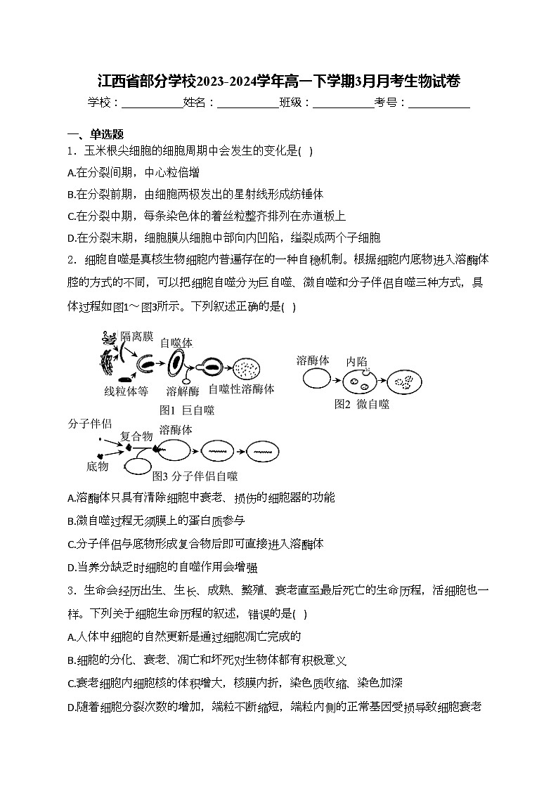 江西省部分学校2023-2024学年高一下学期3月月考生物试卷(含答案)第1页