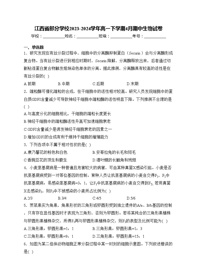 江西省部分学校2023-2024学年高一下学期4月期中生物试卷(含答案)01