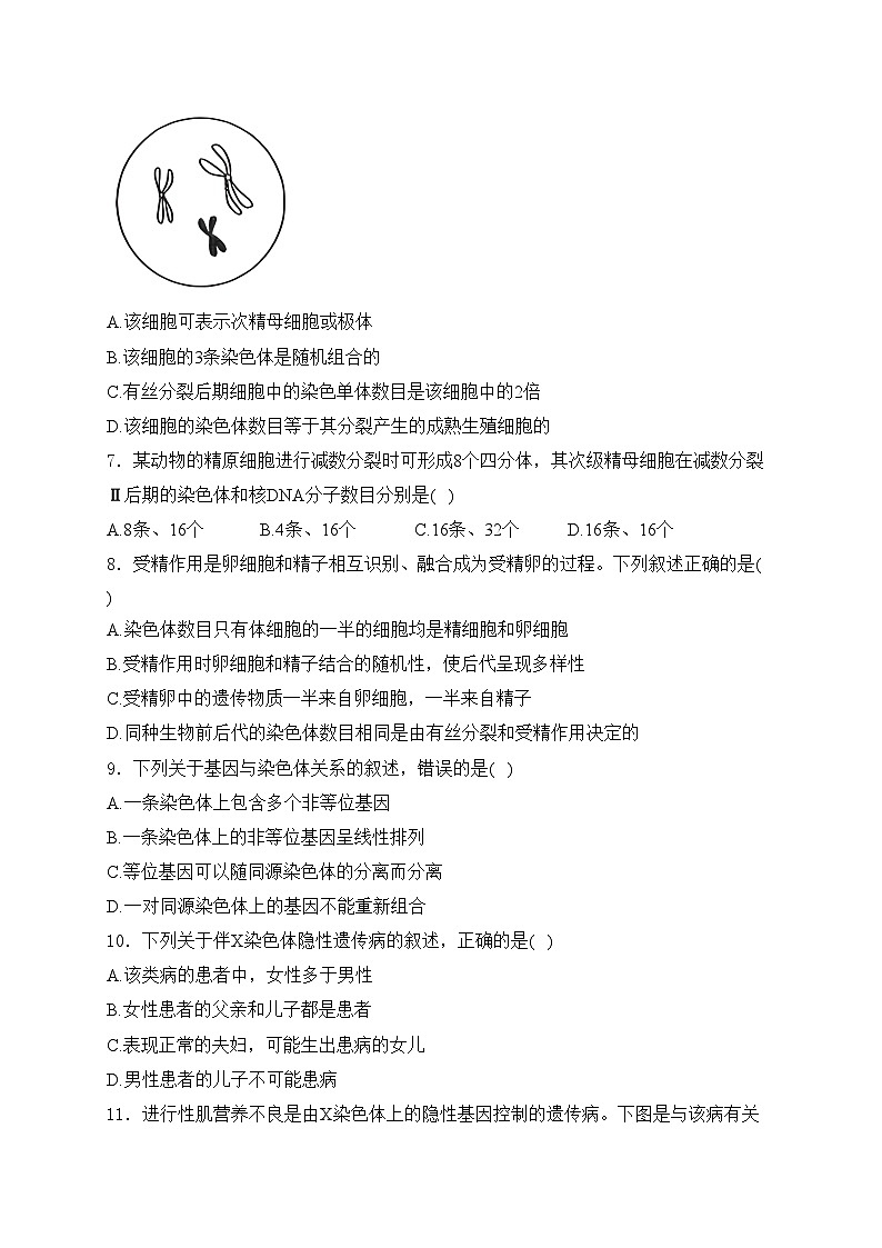 江西省部分学校2023-2024学年高一下学期4月期中生物试卷(含答案)02