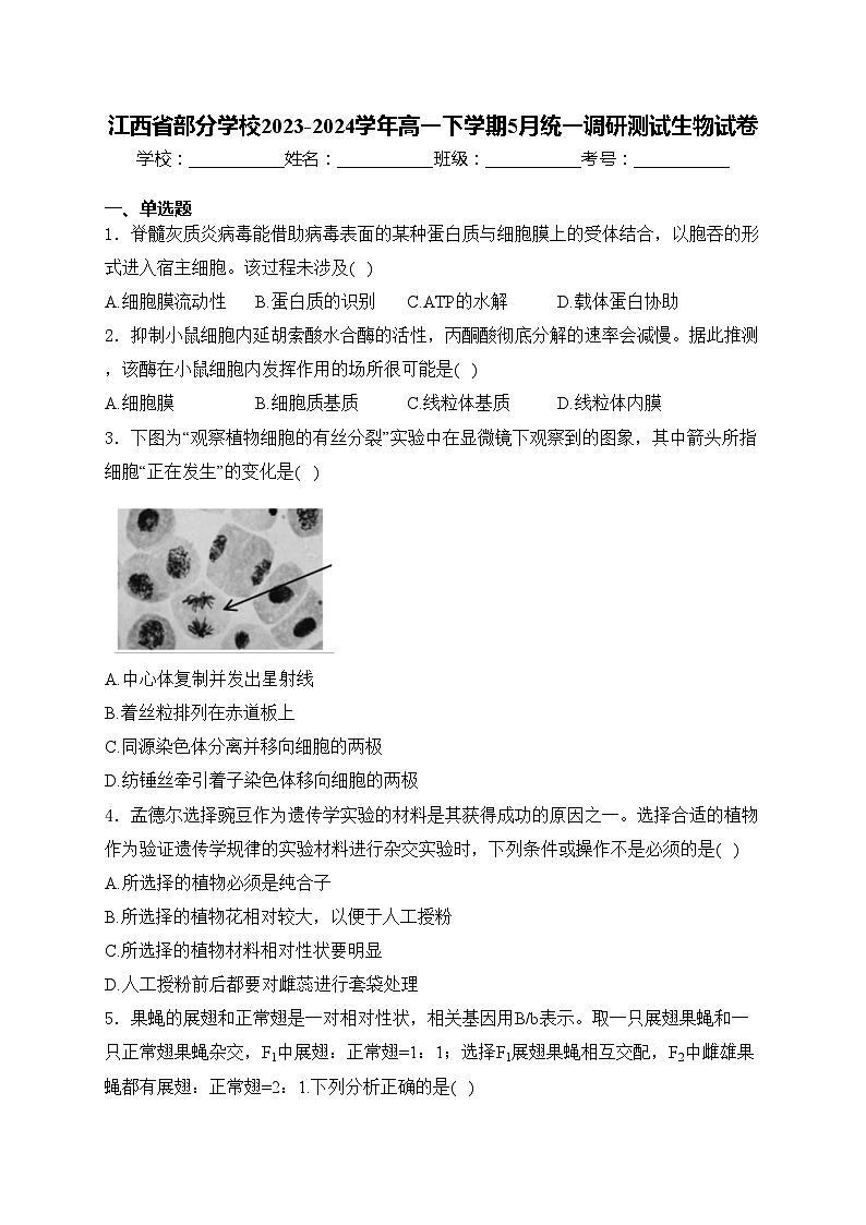 江西省部分学校2023-2024学年高一下学期5月统一调研测试生物试卷(含答案)01