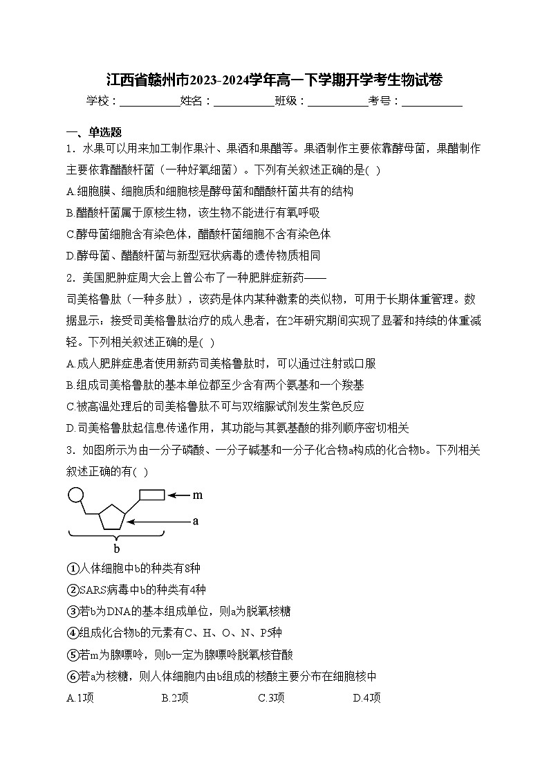 江西省赣州市2023-2024学年高一下学期开学考生物试卷(含答案)第1页