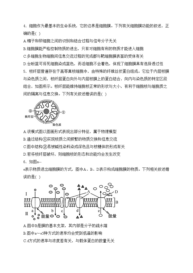 江西省赣州市2023-2024学年高一下学期开学考生物试卷(含答案)第2页