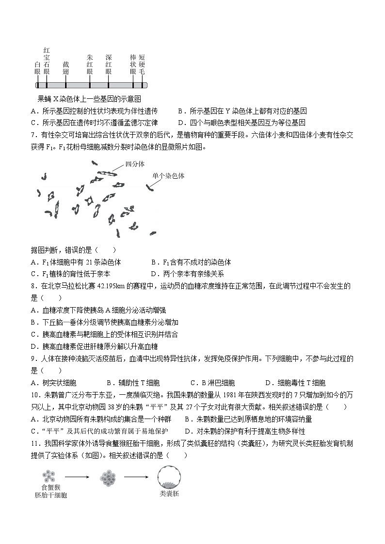 2024年北京高考真题生物试卷(无答案)第2页