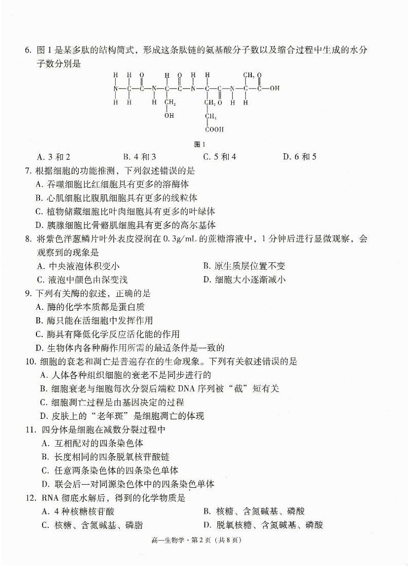 云南省玉溪市2023~2024学年高一下学期7月期末教学质量检测生物试题02