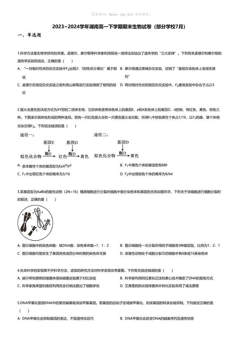 [生物][期末]2023_2024学年湖南高一下学期期末生物试卷(部分学校7月)01