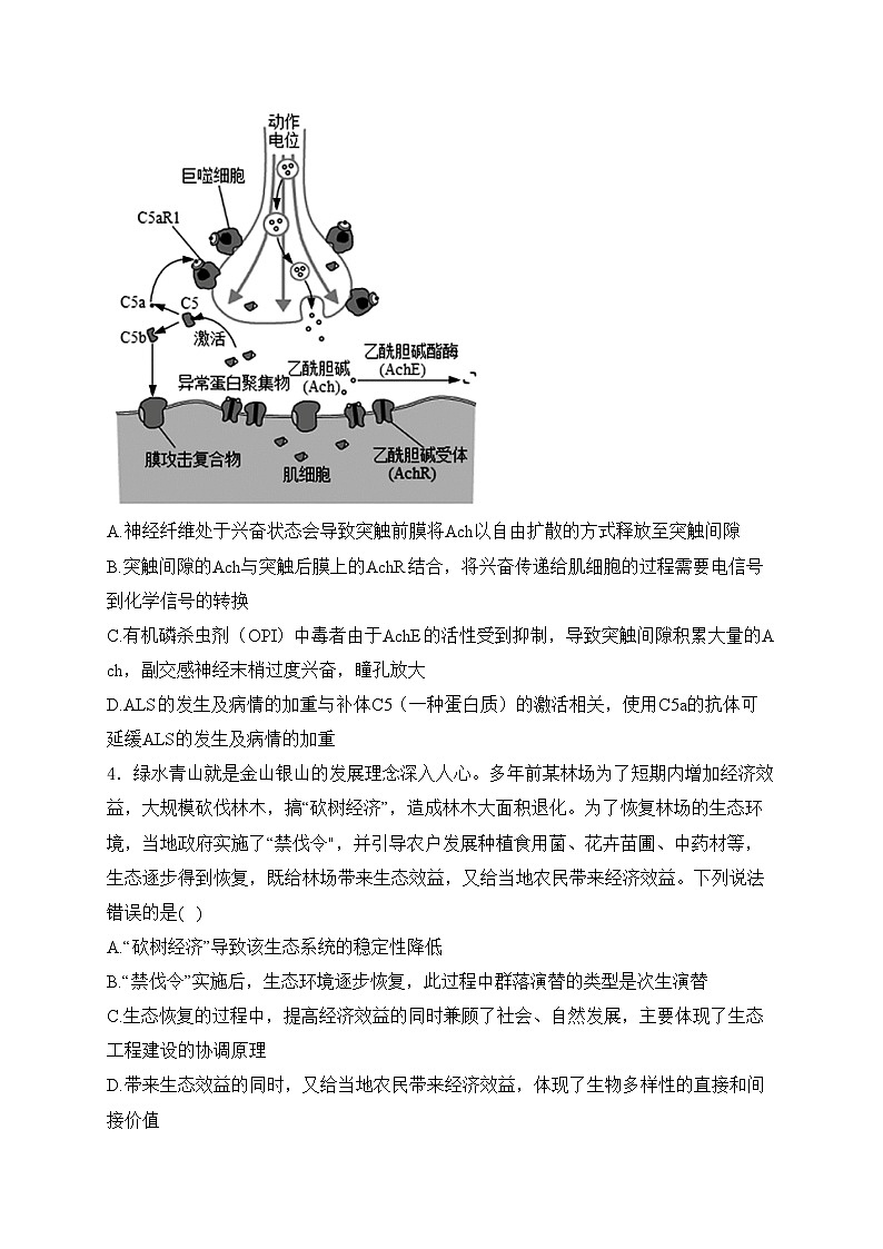 新疆维吾尔自治区省直辖县级行政单位石河子市石河子第一中学2023-2024学年高三下学期生物学试卷(含答案)第2页