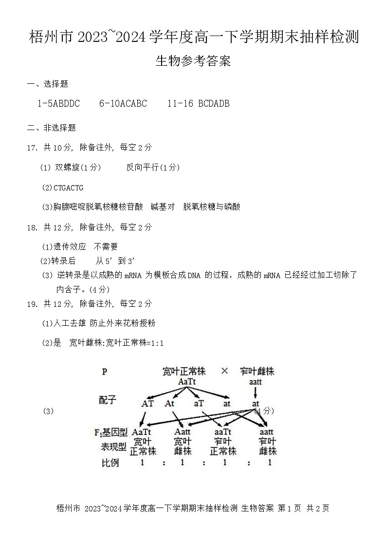 广西梧州市2023-2024学年高一下学期期末抽样检测生物试题01