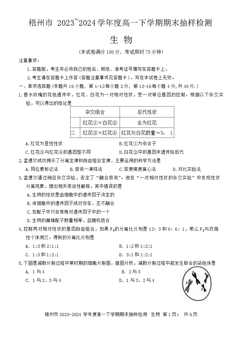 广西梧州市2023-2024学年高一下学期期末抽样检测生物试题01
