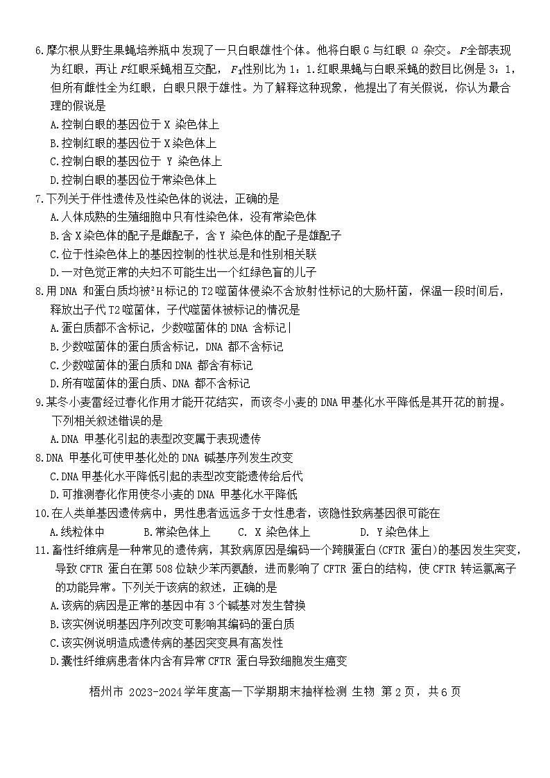 广西梧州市2023-2024学年高一下学期期末抽样检测生物试题02