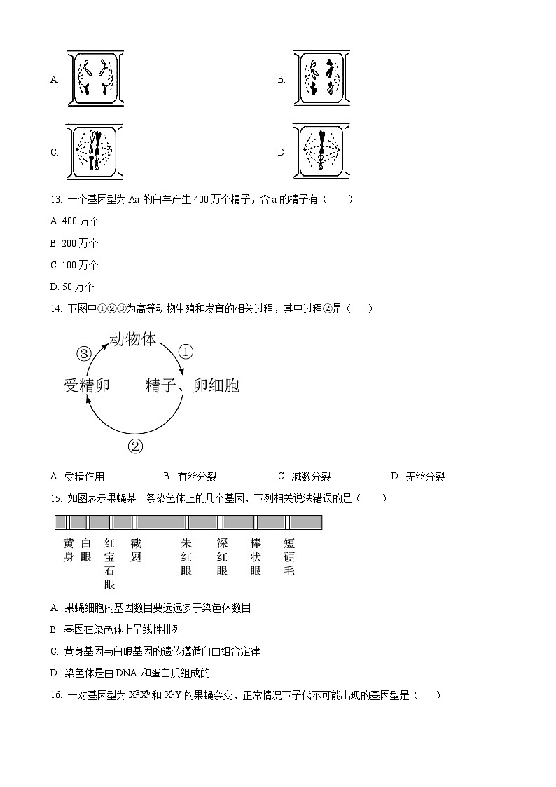 江苏省无锡市滨湖区无锡第一中学2023-2024学年高一下学期6月期末考试+生物03